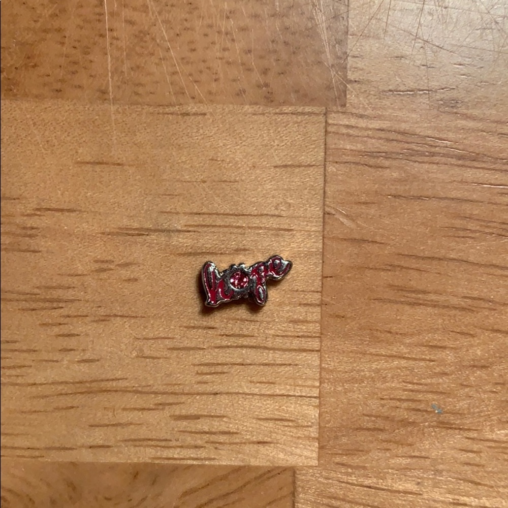 Origami Owl Pink Hope Charm